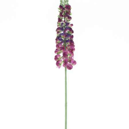 Antirrhinum spray Ambert beauty pink 108cm
