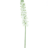 Antirrhinum spray Ambert cream 108cm