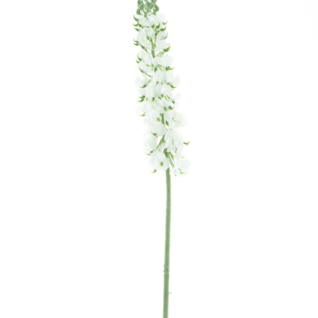 Antirrhinum spray Ambert cream 108cm