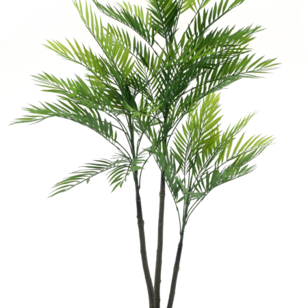 Areca palm Aruba in pot green 140cm