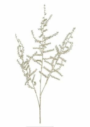 Asparagus metallic champagne