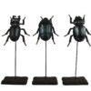 Beetles on base zwart 3 ass polystone 9
