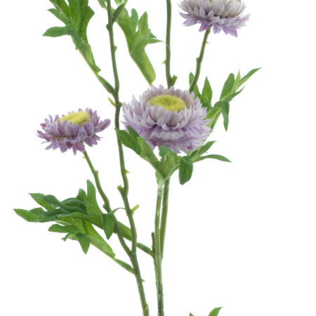 Bellis spray purple 82cm