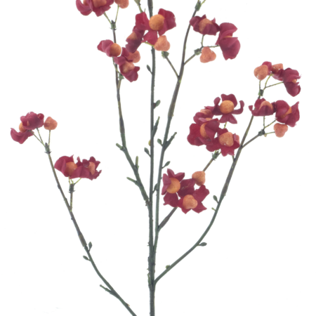 Bittersweet berry spray red 66cm