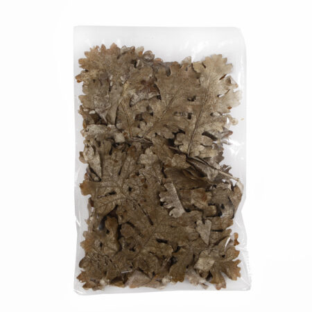 Bladeren Oak 50gr champagne