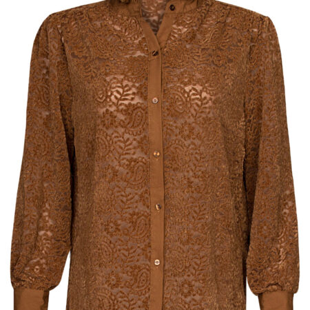 Blouse Kant Bruin