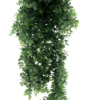 Boxwood bush large on hang card green 65cm