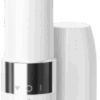 Braun Face FS1000