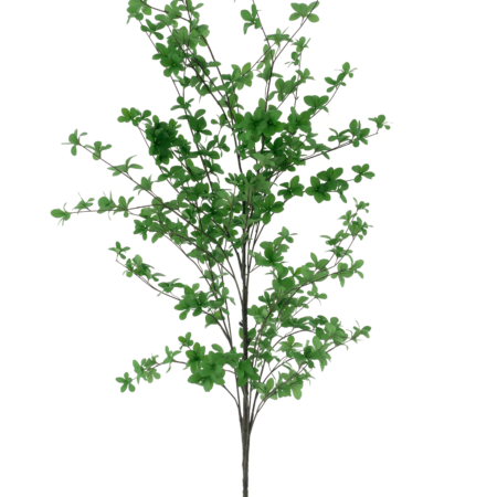 Bucida branche green 202cm