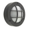 Buitenlamp Arctic Zwart Brons
