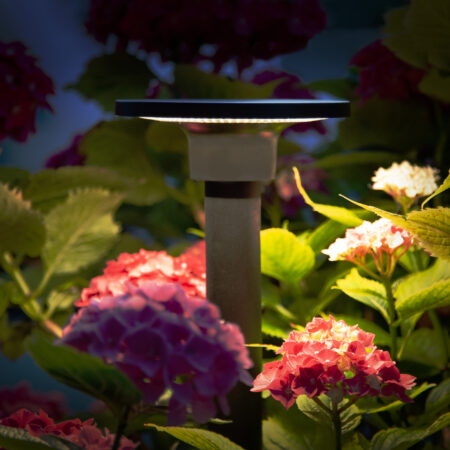 Buitenlamp Shuttle LED Spike Zwart
