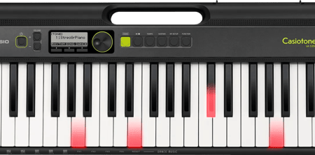 Casio Casiotone LK-S250