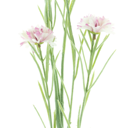 Centauria spray Yuki mauve 95cm