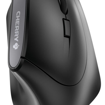 MW 4500 Ergonomische muis
