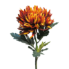 Chrysanthemum Iba rust 63cm