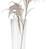 Pampas grass spray