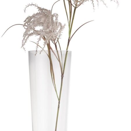 Pampas grass spray