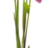 Cora bell spray pink/green 79cm