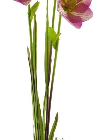 Cora bell spray pink/green 79cm