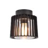 Corby Plafondlamp Zwart