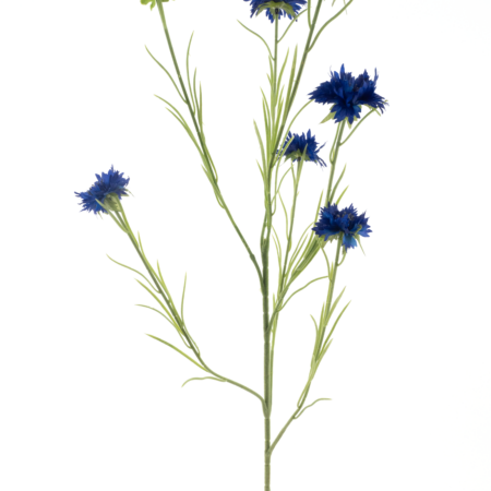 Cornflower spray James dk blue 90cm