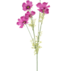Cosmos spray Aerosol old pink 79cm