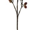 Cranberries spray brown 76cm