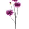 Dahlia spray Capitolbeauty 89cm