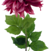 Dahlia spray Mumba beauty 63cm