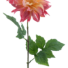 Dahlia spray Mumba cream/pink 63cm