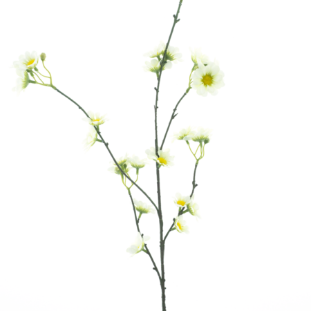 Daisy spray Moriecream 83cm