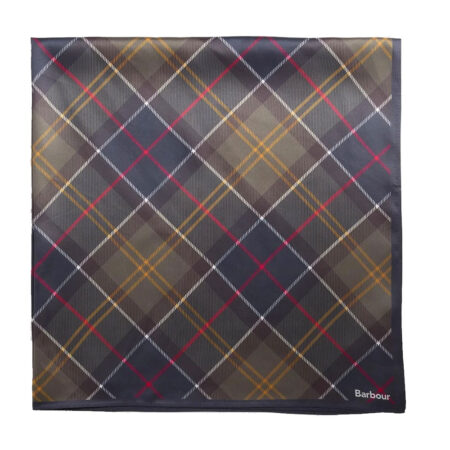 Dames Sjaal Kinsale Classic Tartan | Barbour