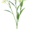 Daphne spray Elena cream 72cm