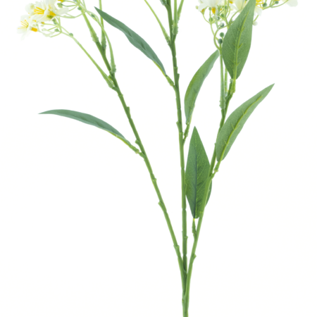 Daphne spray Elena cream 72cm