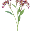 Daphne spray Elena purple/red 72cm