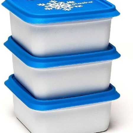 Day To Day Diepvriesbak Set 3x500ml Alaska | Alaska