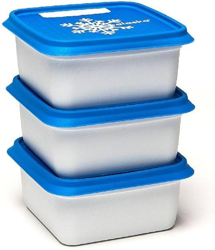 Day To Day Diepvriesbak Set 3x500ml Alaska | Alaska