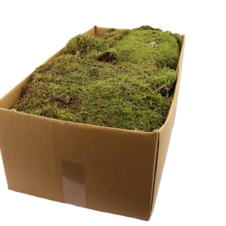 Decoratie Platmos naturel 2 kg | HBX Natural Living