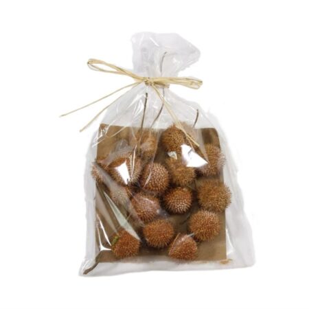 Decoratieset Plataan vrucht 50gr | HBX natural living