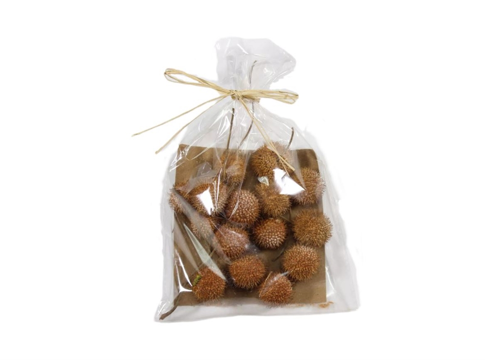 Decoratieset Plataan vrucht 50gr | HBX natural living