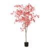 Acer L rood