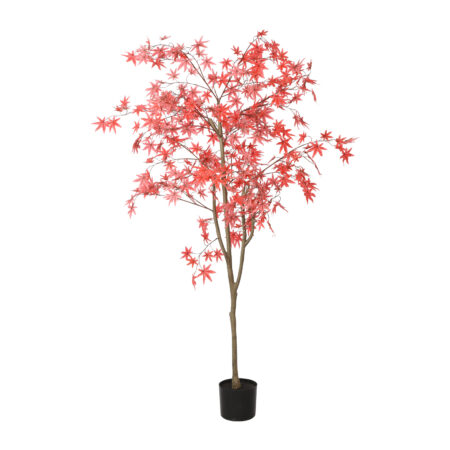 Acer L rood