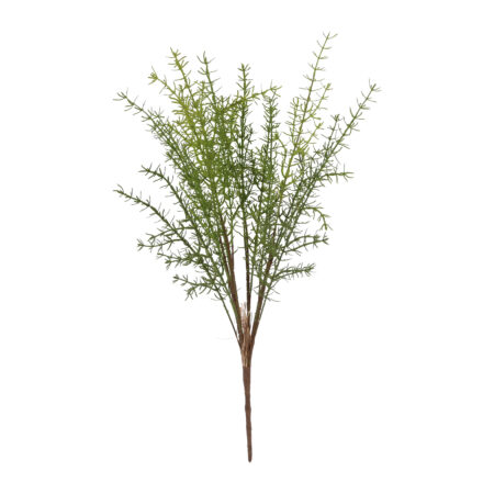 Kunstblad Asparagus Moogri S groen