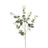 Kunstblad Eucalyptus Cinerea M groen-L15B15H94CM