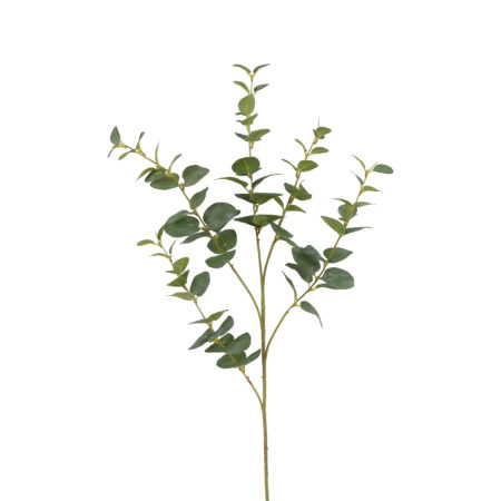 Kunstblad Eucalyptus Cinerea M groen-L15B15H94CM
