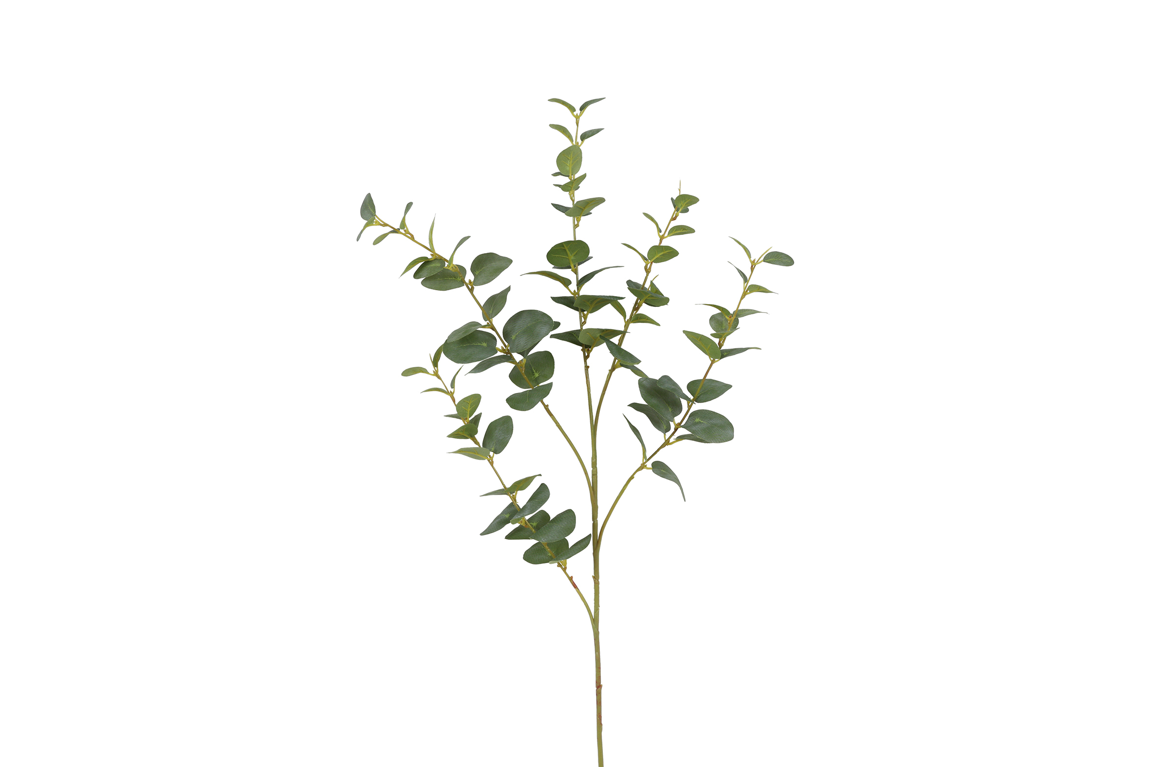 Kunstblad Eucalyptus Cinerea M groen-L15B15H94CM