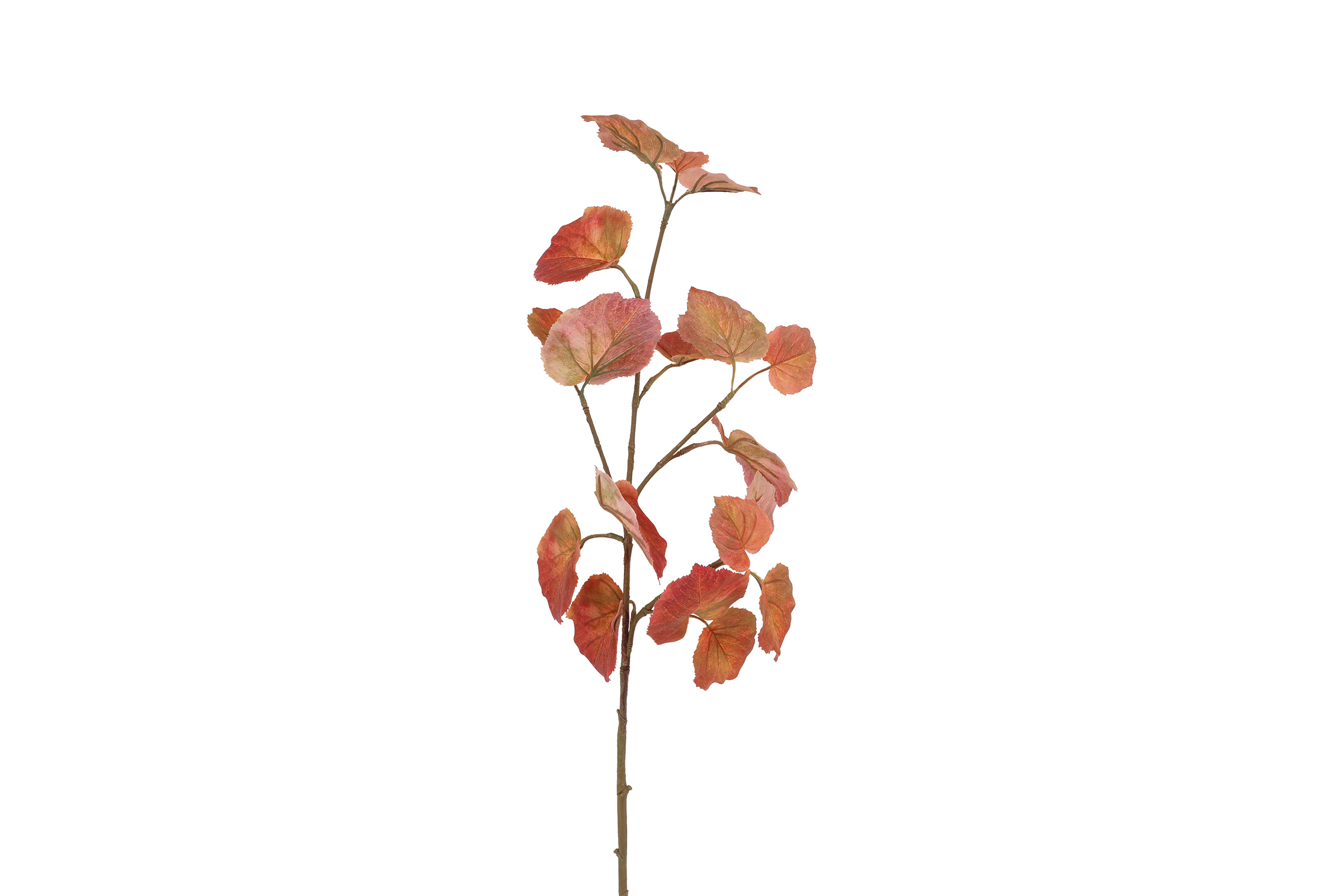 Kunstblad Tilia bruin-L15B10H88CM