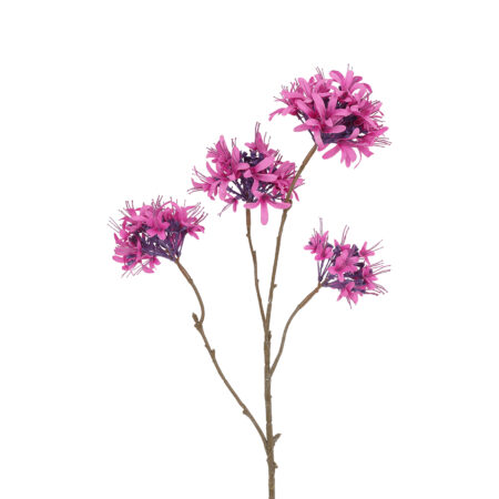 Kunstbloem Beau Lychnis paars-L81B22H22CM