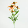 Kunstbloem Echinacea oranje-L5B20H70CM