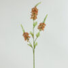 Kunstbloem Eremurus bruin-L5B20H94CM